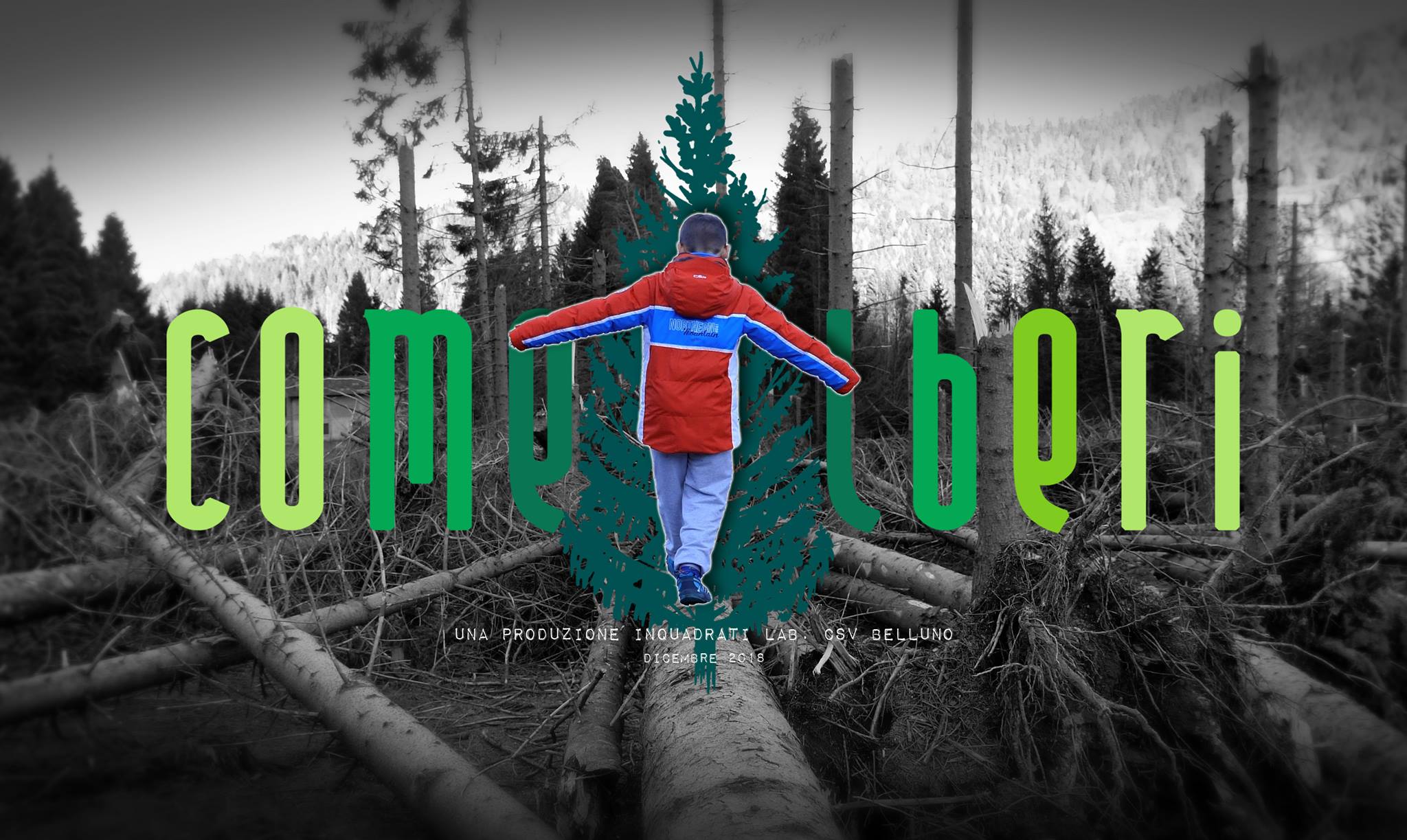 maltempo montagna bellunese 2018