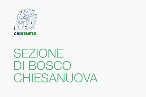 Sezione di BOSCO CHIESANUOVA