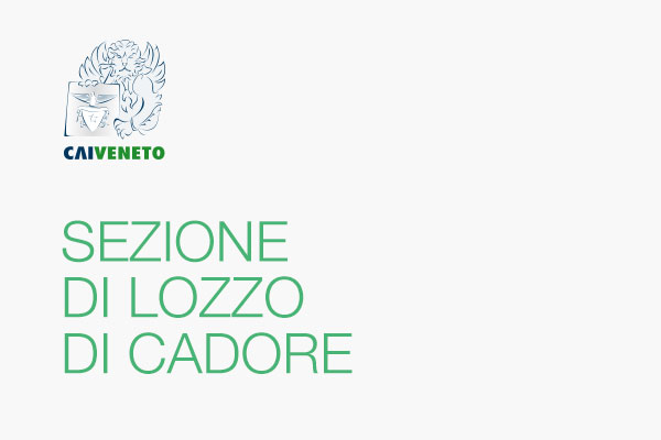 Sezione di LOZZO DI CADORE