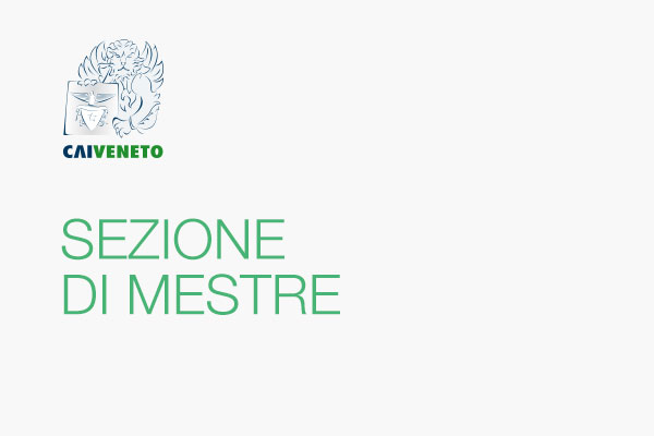 Sezione di MESTRE