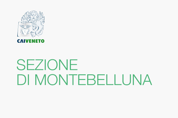 Sezione di MONTEBELLUNA