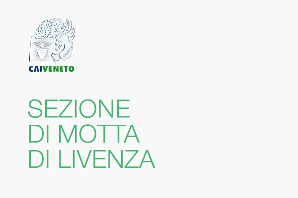 Sezione di MOTTA DI LIVENZA